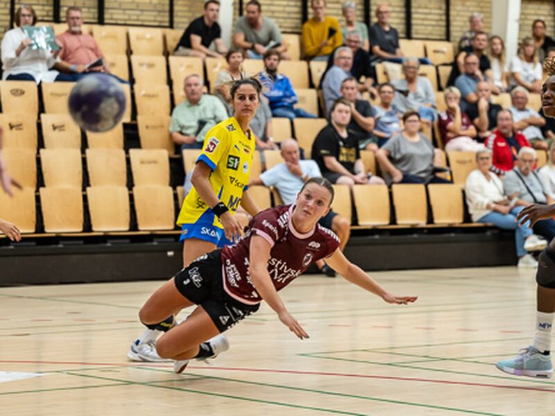 240904_spp_4516.jpg