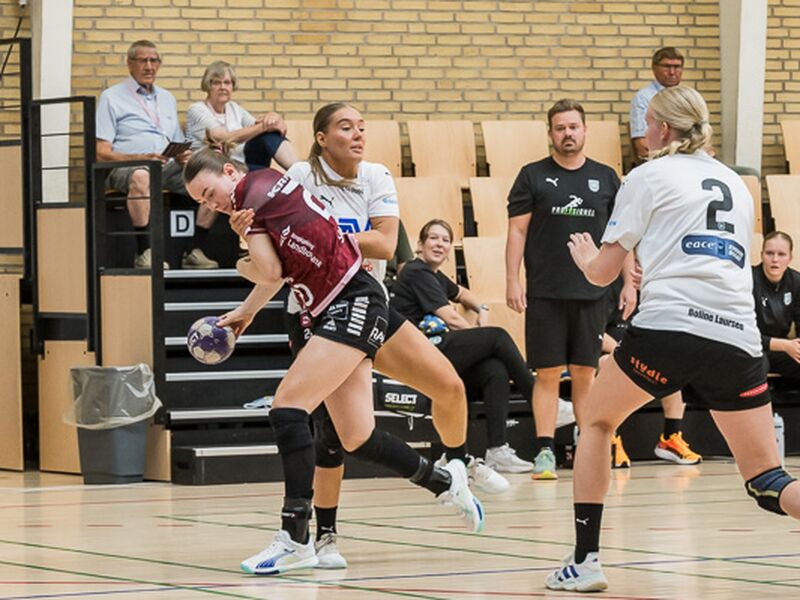 240922_spp_1123.jpg