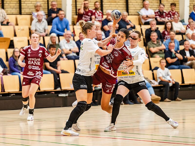 250831_spp_1741.jpg