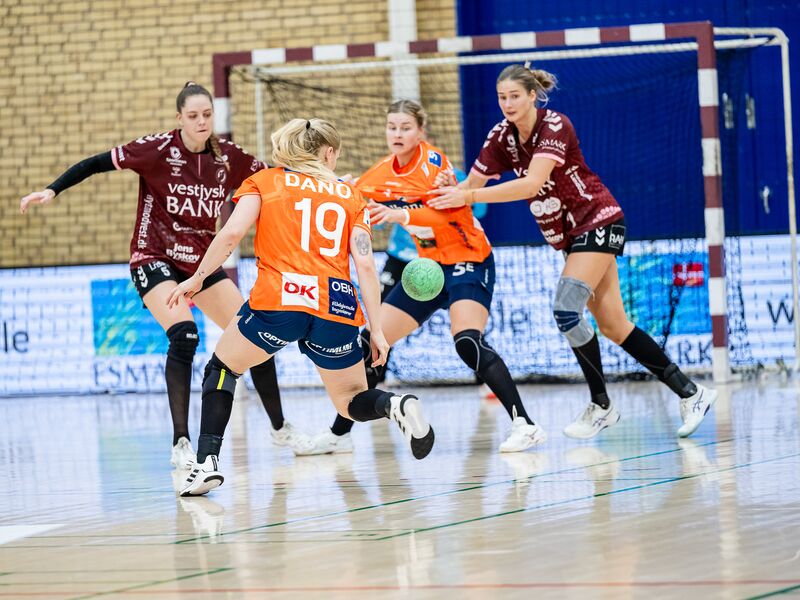 231108_spp_8021.jpg